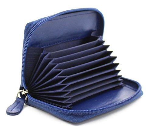1234-BLUE